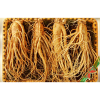 Nhân Sâm Tươi Hàn Quốc 4 Củ/kg
